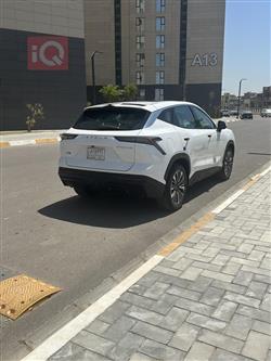 جیتۆر داشينگ